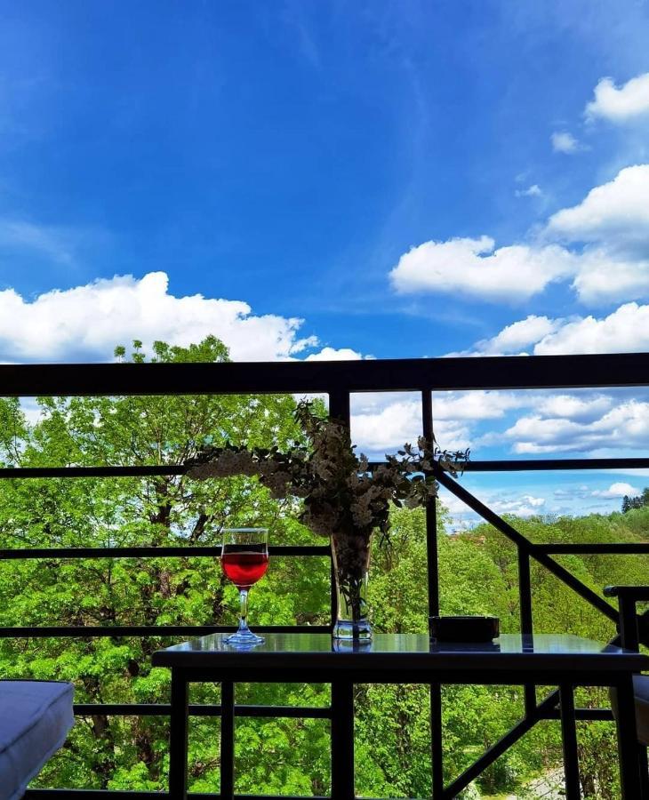 Apartman Crown Vrnjačka Banja Esterno foto